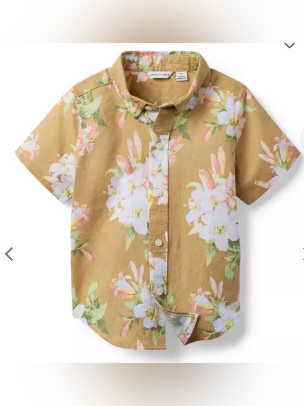 Boy’s Top - Janie and Jack Summer Floral Short-Sleeve Button-Down